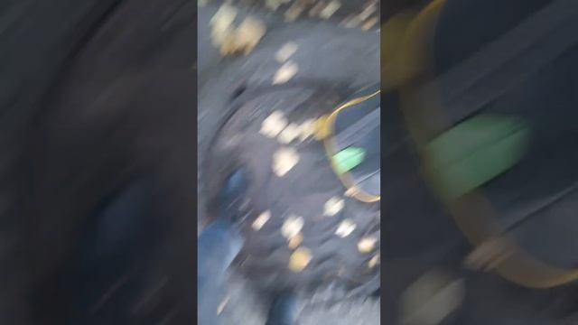 опять ежедневные прогулки. смотреть онлайн