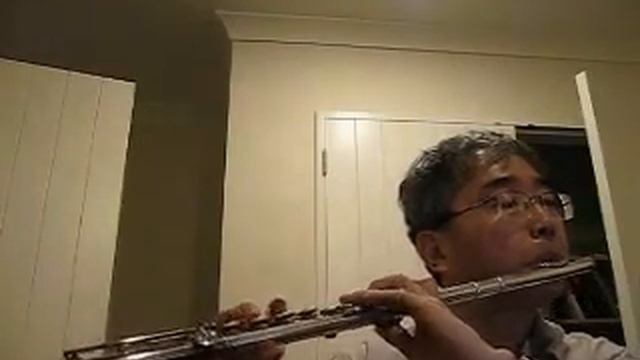 Haydn Symphony No.30 3rd movement [Motive and Variation] - Flute by Won Shik Paik смотреть онлайн
