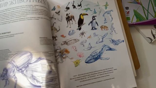 Цветные карандаши MILAN | Выкраска и спидпейнт с осликом | Книги для художников смотреть онлайн