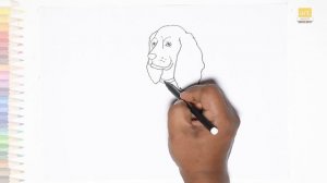 Cocker Spaniel dog drawing #2 | How to draw A Cocker Spaniel dog step by step | drawing tutorials