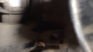 how to change left hand gearbox Honda Fit - замена подушки вариатора Хонда фит 2003