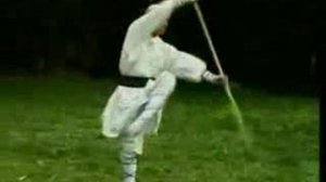 МОНАХ ШАОЛИНЬ (ШЕСТ)