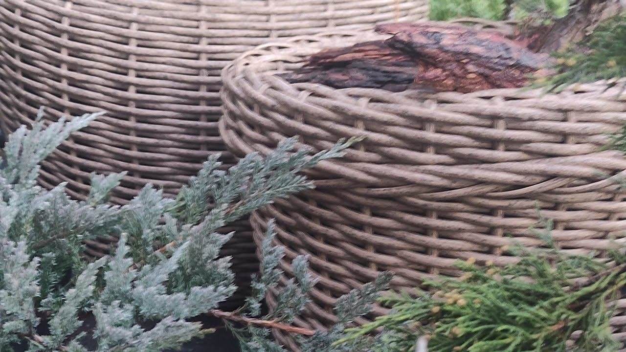 Плетем Горшки Из Ратанга В Мести