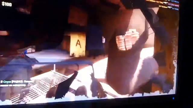 Рыжий кот играет в кс го смотреть онлайн