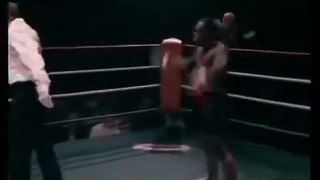 Melvin Manhoef супер боец смесь Тайсона и Емельяненко?))) смотреть онлайн