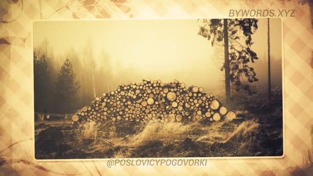 КТО В ЛЕС, КТО ПО ДРОВА: смысл и значение смотреть онлайн