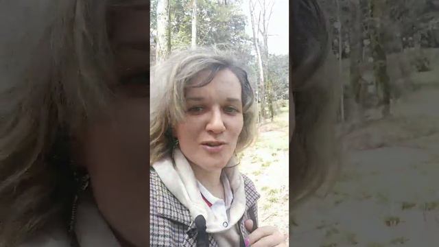 Советы Психолога. Как не бояться говорить с новыми людьми.