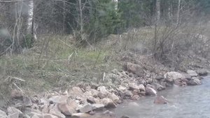 Уаз Патриот на военных мостах на бездорожье. Даздраперма день первый- простой