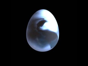 HOULY 2020 Daily. Day27. Materials: Translucent