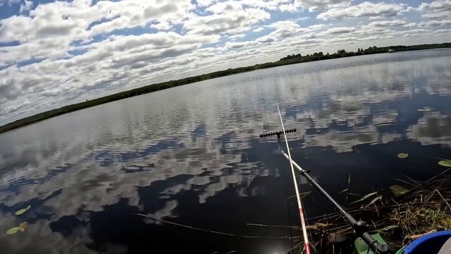 Насильно мил не будешь - прощание с фидерным спортом, отчёт Но 252 смотреть онлайн