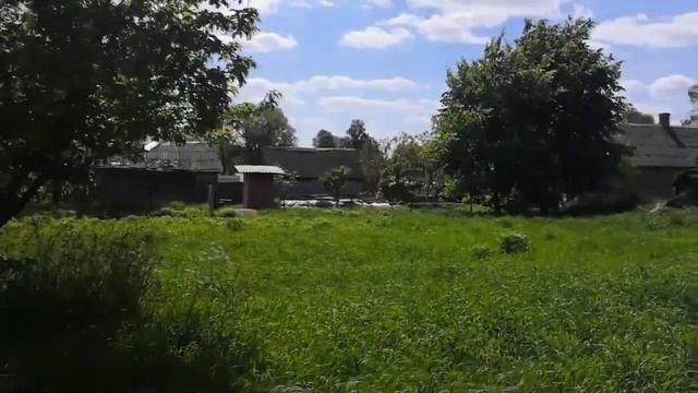Разведение попугаев.Моя дача.