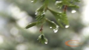 Природа Казань