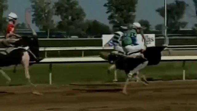 С днем защитника отечества! смотреть онлайн