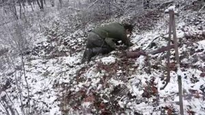 Норная охота с фокстерьером.Харьков.