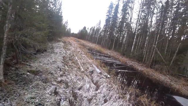 К концу охоты нашли дичь, но тут что-то пошло не так. Охота на боровую с мелкашкой. смотреть онлайн