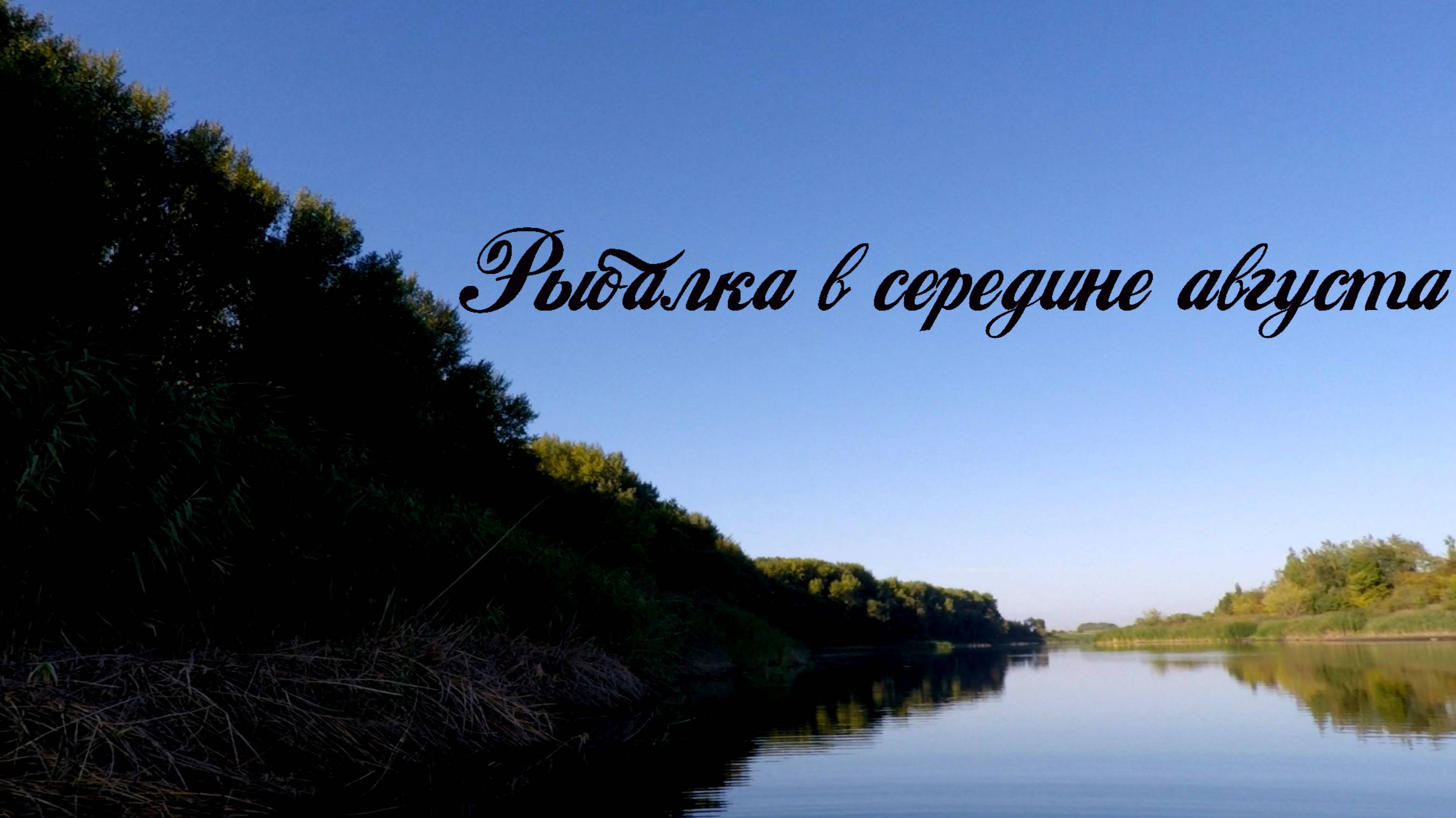 НА БЕЗРЫБЬЕ И ОКУНЬ РЫБА