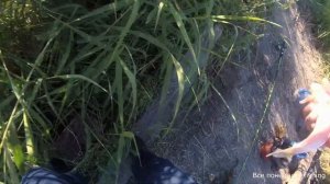 Рыбалка в Омской области. Тюкалинск. Караси на озере Разлив.Все понемногу fishing