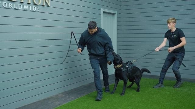 Odyssey Season 3: Episode 6 'Close to home' смотреть онлайн