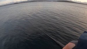 МОЯ ТРОФЕЙНАЯ КАМБАЛА! УСТАНОВИЛ СВОЙ ЛИЧНЫЙ РЕКОРД! Рыбалка в Норвегии. Норвегия. Рыбалка.