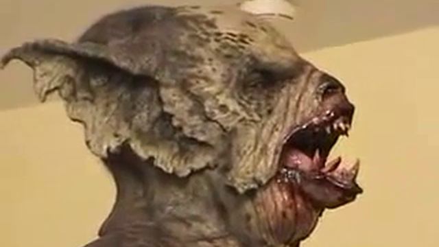 Чупакабра смотреть всем смотреть онлайн