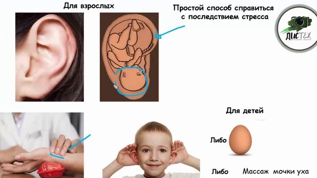 Как успокоить себя после стресса. Успокоительные???!!!!!