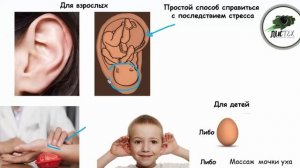 Как успокоить себя после стресса. Успокоительные???!!!!!