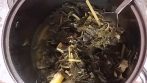 Сироп из мяты или мятное варенье с лимоном? . Заготовка на зиму.