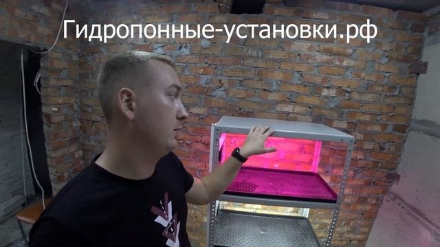 гидропонные-установки.рф