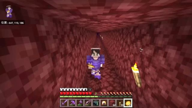 【絶叫全ロス!?】ネザー怖すぎ！ラクダさんお引越ししたかっただけなのに…！　#84【女性実況】【マインクラフト　マイクラ　まいくら　Minecraft】 смотреть онлайн