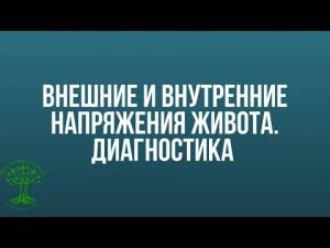 Внешние и внутренние напряжения живота. Диагностика по методу Н.Л.Лоскутовой БФМ