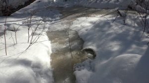 Хинганские Увалы. Часть 1 зимняя  От Хингана в Удурчукан