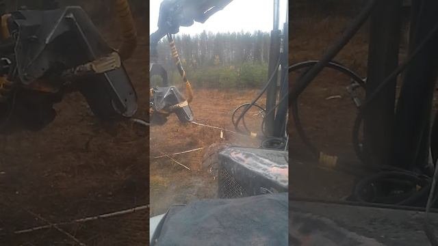 РАБОТА ОПЕРАТОРА ХАРВЕСТЕРА. НАЧАЛО НАЧАЛ.