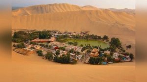 Песчаная учительница. Краткое содержание