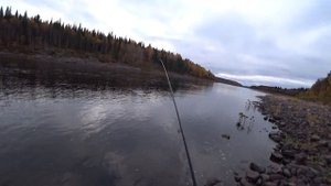 Рыбалка на Кольском п-ве осень 2022 (трое на Варзуге)