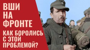 Вши на фронте. Как боролись со вшами во второй мировой войне?