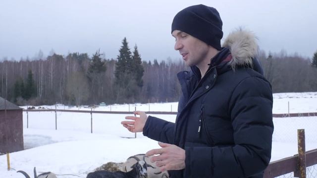 Фермерская жизнь животных / Экскурсия по ферме Усадьба Четыре сезона