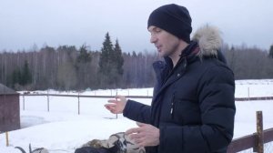 Фермерская жизнь животных / Экскурсия по ферме Усадьба Четыре сезона