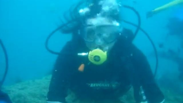 на дайвинге в Геленджике 23.08.2013г. дайвинг-центр "Барракуда" смотреть онлайн