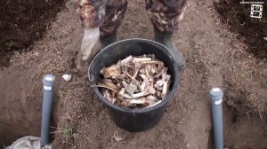 ПРАВИЛЬНАЯ ПОДГОТОВКА ПОСАДОЧНОЙ ЯМЫ ДЛЯ ВИНОГРАДА. ВЫРАЩИВАНИЕ ВИНОГРАДА В ТЕПЛИЦЕ