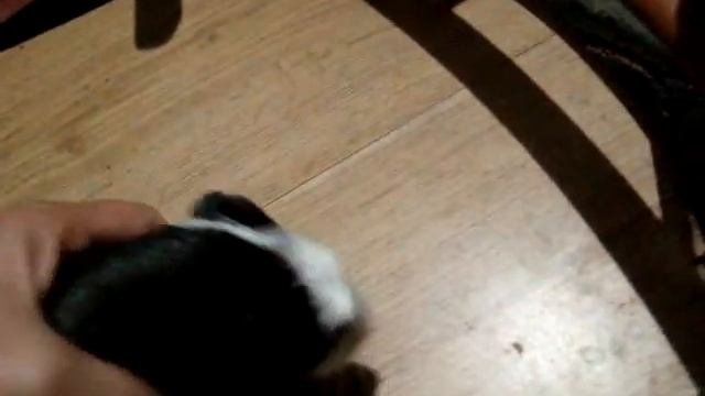 Наружное освещение загородного дома из светодиодов своими руками