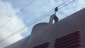 Тепловоз ТЭМ7А-0471. Запуск и остановка двигателя. Звук 2Д49.