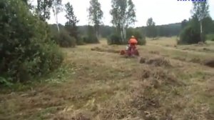 УБОРКА СЕНА ВОРОШИЛКОЙ.  ПЕРВЫЙ ОПЫТ. МОТОБЛОК НЕВА!