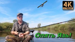 Опять Язь... Нахлыст.