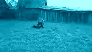 Самооборона без оружия