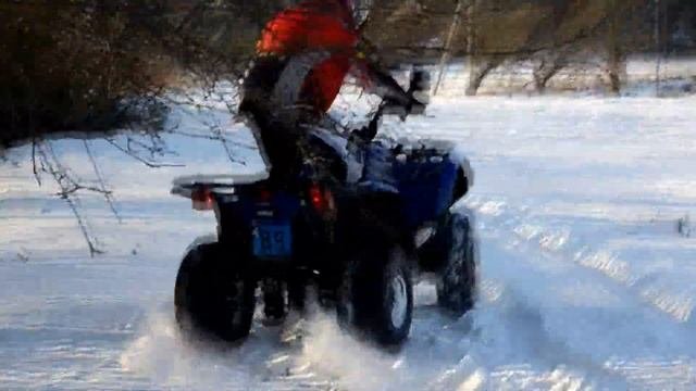 Yamaha Grizzly 300
