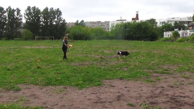 Романова Анна и бк Сай. Фри-фри 1Д смотреть онлайн