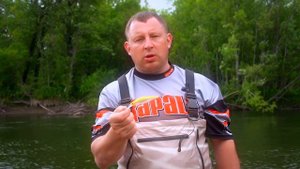 RAPALA SHADOW RAP SHAD DEEP SDRSD09