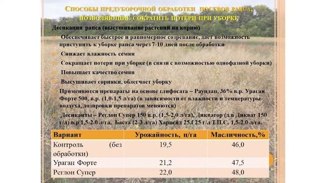 Семинар: Диверсификация структуры посевных площадей сельскохозяйственных культур смотреть онлайн