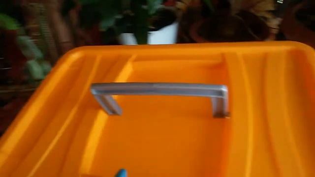 Улитка Ахатина и ее первое потомство.The snail Achatina and its first offspring. смотреть онлайн