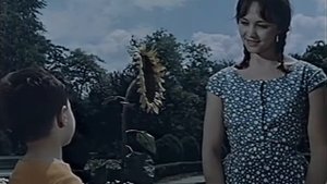 Человек идёт за солнцем 1961+фильтры